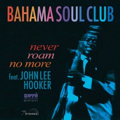 Never Roam No More (feat. John Lee Hooker)