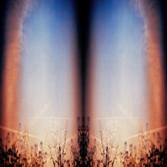 Filament