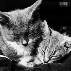 DUSTIANDPLUTO ฅ^•ﻌ•^ฅ #WompFamily