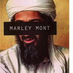 Marley Mont - HitMan