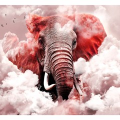 AYLA - Elefanter (Matt Salou REMIX)