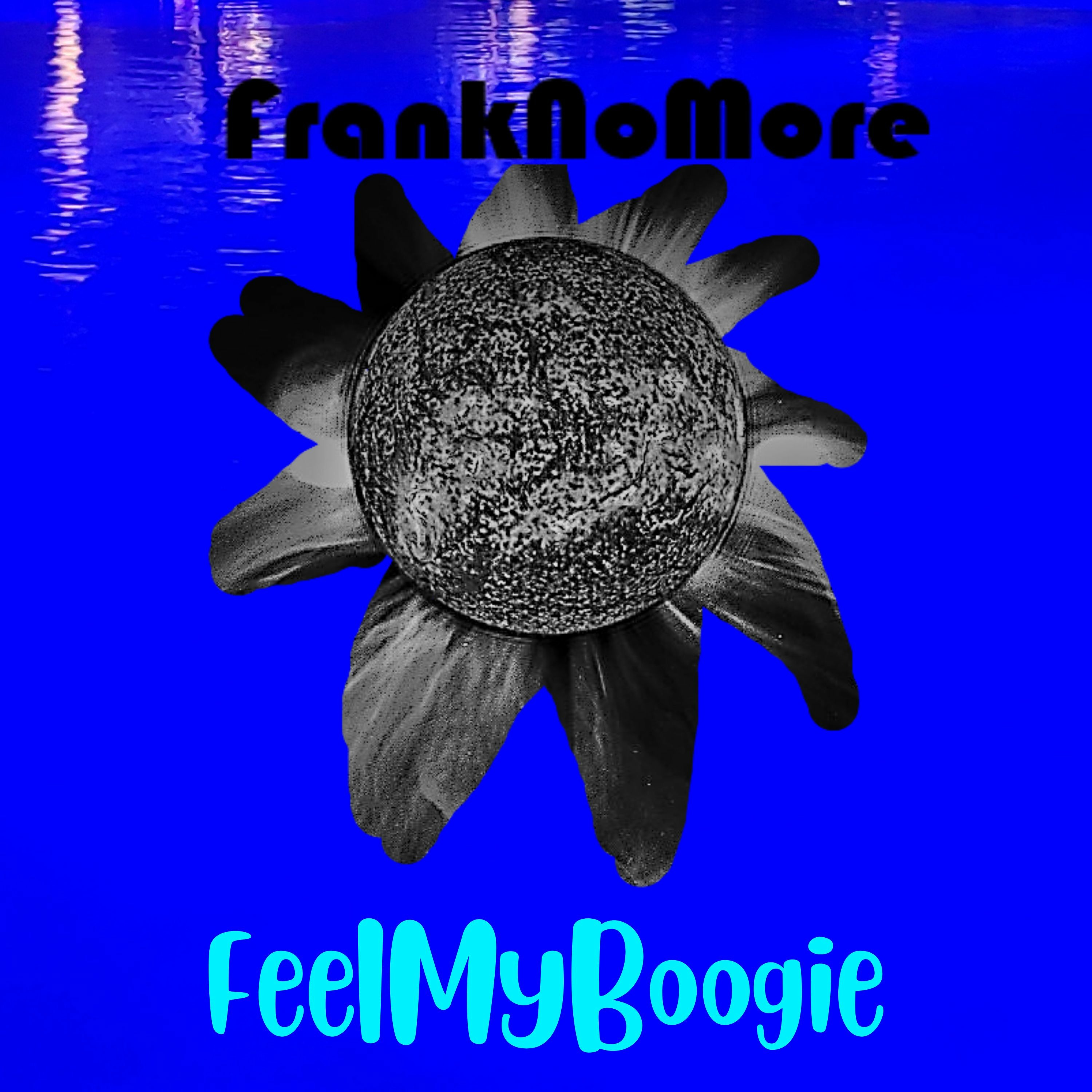 FrankNoMore