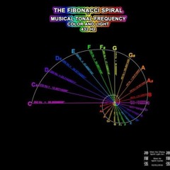 Fibonacci Frequency straight rhythm