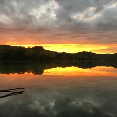 An Exploration Of Compassion And Wisdom