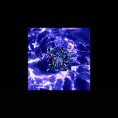 UNIVERSO