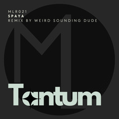 Spaya (Weird Sounding Dude Remix)