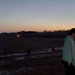 steeeam - shelly slowed and reverb