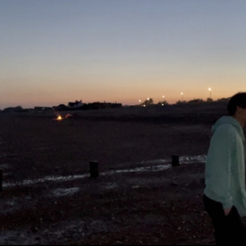 steeeam - shelly slowed and reverb