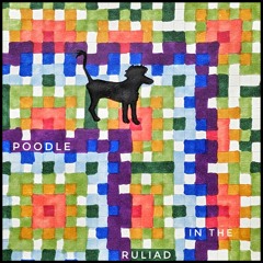 Poodle In The Ruliad