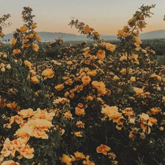 𝙃𝙪𝙣𝙩𝙧𝙚𝙨𝙨’ 𝙏𝙝𝙚𝙢𝙚 - @𝙞𝙩𝙨𝙘𝙖𝙣𝙣𝙞𝙗𝙖𝙡𝙩𝙞𝙢𝙚