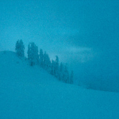 blue christmas (dinnertable detonation)