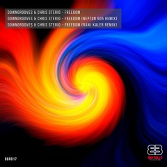 Downgrooves & Chris Sterio - Freedom (Neptun 505 Remix) [Big Bells Records]