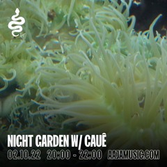 Night Garden w/ Cauê - Aaja Channel 1 - 02 10 22
