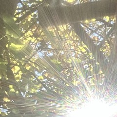 zai yuke smoke good rx !!! prod yuke n gothchyld