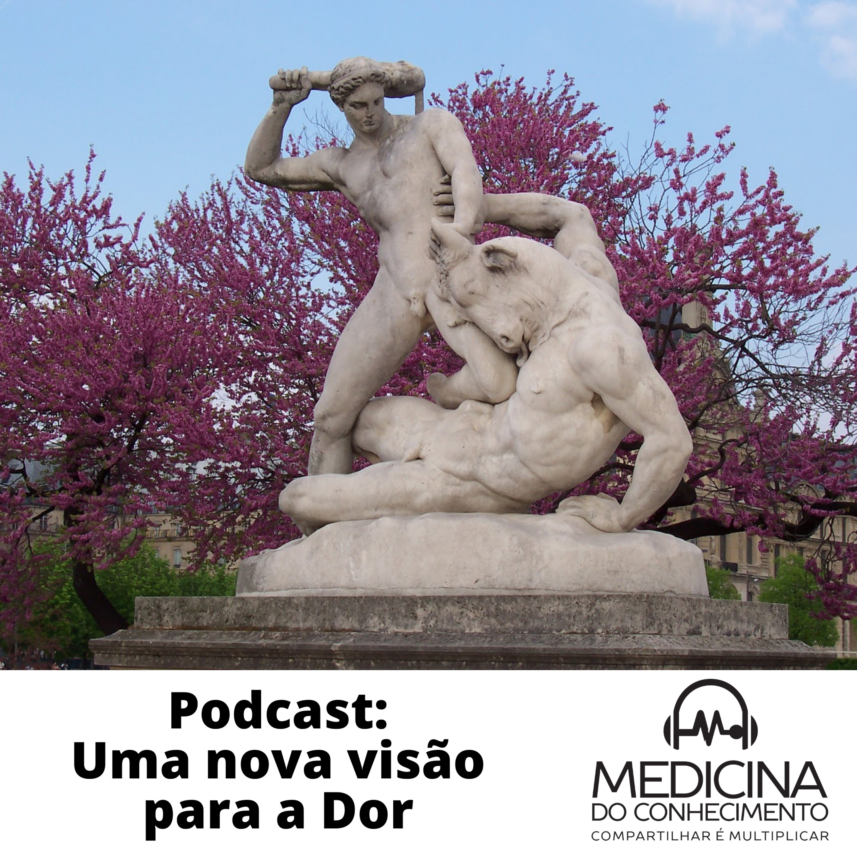 Medicina do Conhecimento