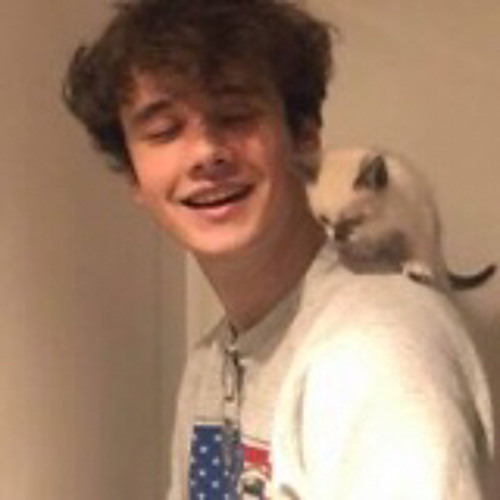 Wilbur Soot Losing face demo