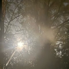 All On Me (Prod. Vainorlove)