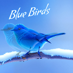 Blue Birds (New version)