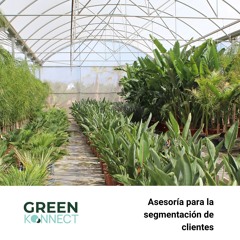 Asesoría- La segmentación de clientes para un vivero