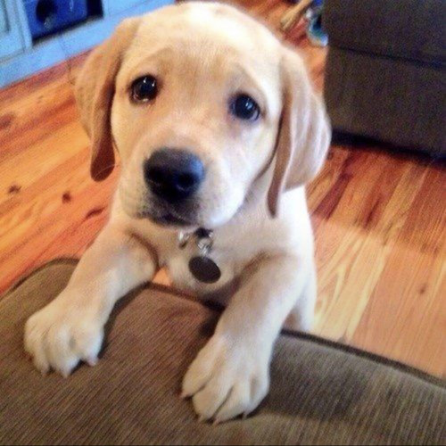 1 minute and 44 seconds of crying (noirefelt)