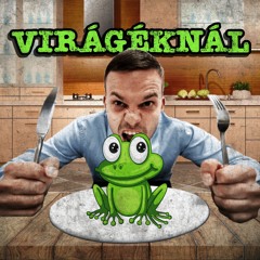 VIRÁGÉKNÁL ÉG A VILÁG (Remix)