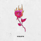 on Violets