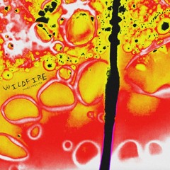 WILDFIRE [prod. Aaron Kelley & Myles Maestro]