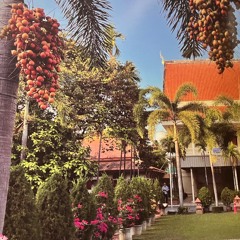 Beenzino- 여행 again (COPY)