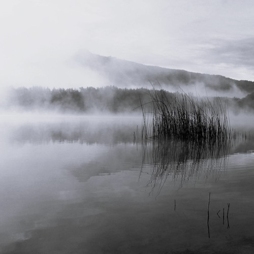 Dj sideways - dub techno session 166