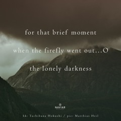 haiku #390: for that brief moment / when the fire-fly went out… / O the lonely darkness