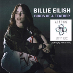 Billie Eilish - BIRDS OF A FEATHER X Alesso & Aventry - I Wanna Kown (Ziani Jay Mash-Boot)