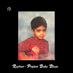 Project Baby Blues