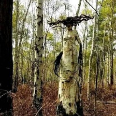 In The Trees - Klassik ft. Davon from Villehouse  (2013 release)