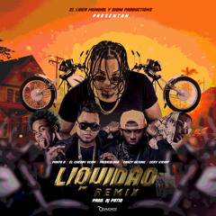 Liquidao (Remix) [feat. Ceky Viciny, Musicologo, crazy design & el cherry scom]