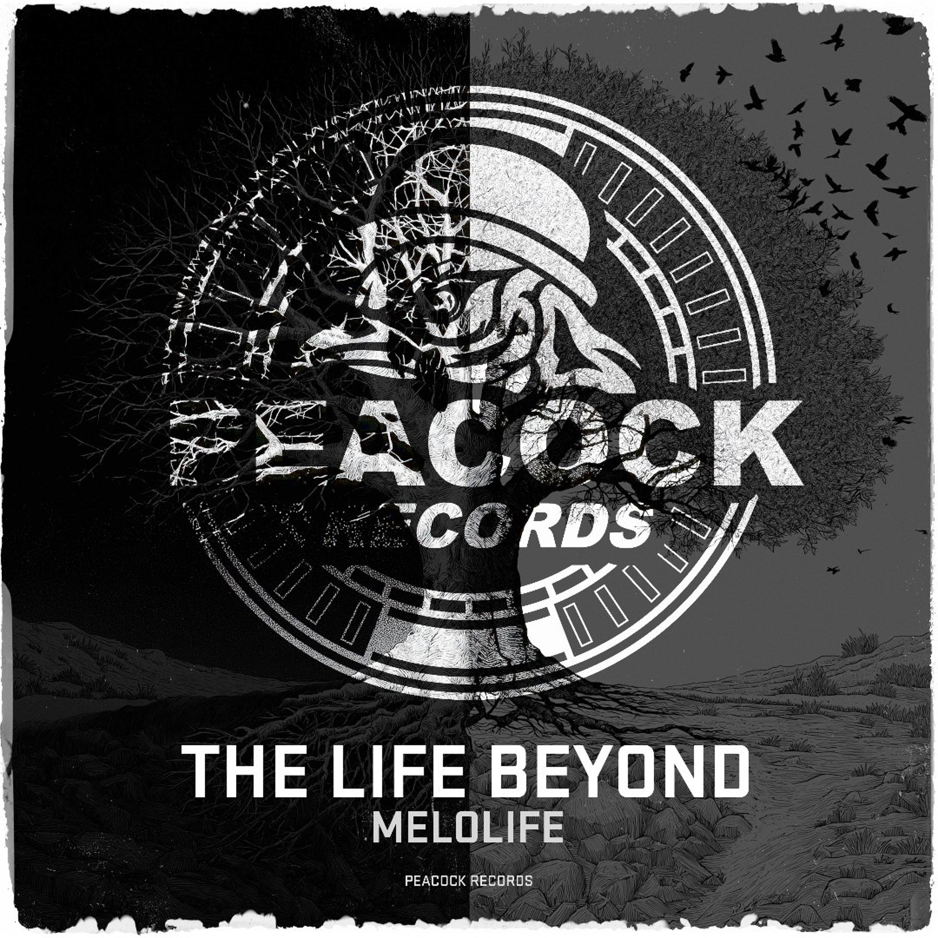 MELOLIFE - The Life Beyond