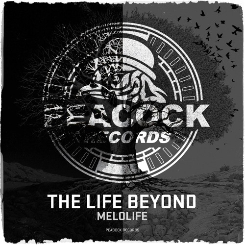 MELOLIFE - The Life Beyond