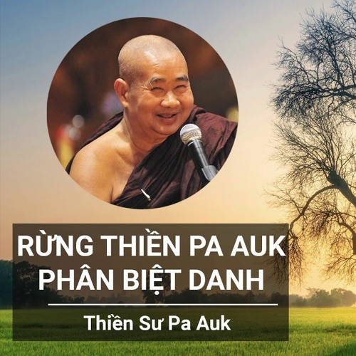 PHAN BIET DANH