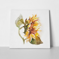 Use Somebody (Cover)