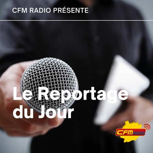 CFM RADIO - Le Reportage Du Jour - Le Parrainage chez Initiative Garonne c'est quoi ? - podcast #65