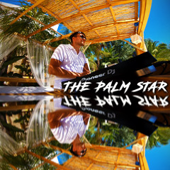The Palm Star Ibiza Mix 12