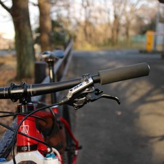 Pedaling