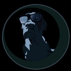 T.R.O.D. -Songlasses (pre-edit)