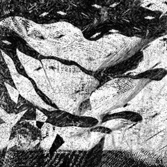 ODDCAST 81 - Matthieu B.