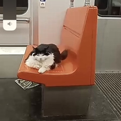 MHA 50K drop competition - exsence