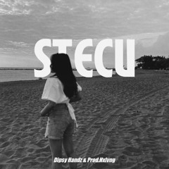 STECU - ( Dipsy Handz & Prod Hxlvng Edit ) afro,amapiano ( FREE DL )