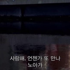 앨리에게