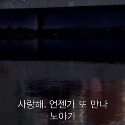 앨리에게