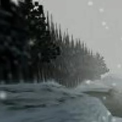 操你们全部 (1991 BONUS)