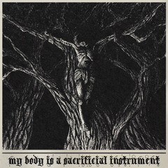 my body is a sacrificial instrument (prod. trulife)