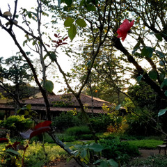 27.09.2025 - Cap. XXIV - Não Coloqueis a Candeia Sob o Alqueire (6)